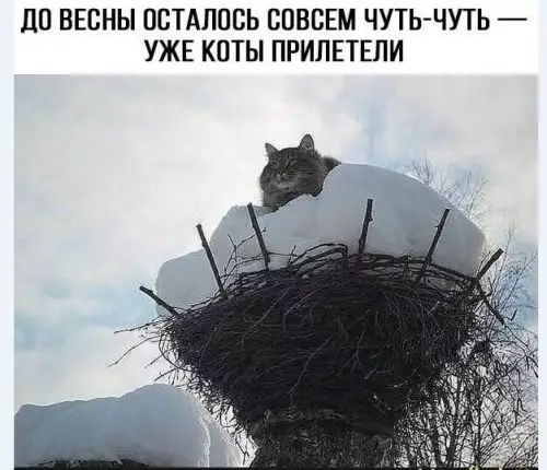 Приколы для хорошего настроения 27.04.2026