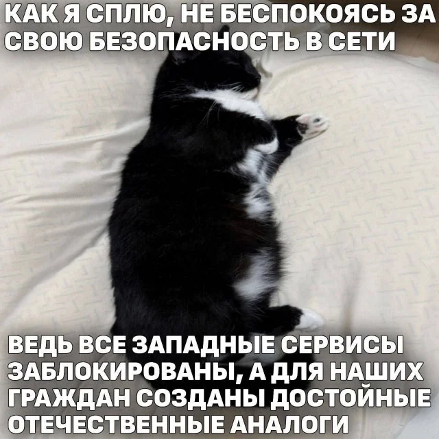 Смех сквозь картинки: забавные моменты 06.04.2026