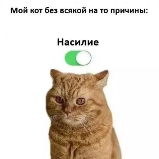 Смешные картинки для настроения 24.04.2026