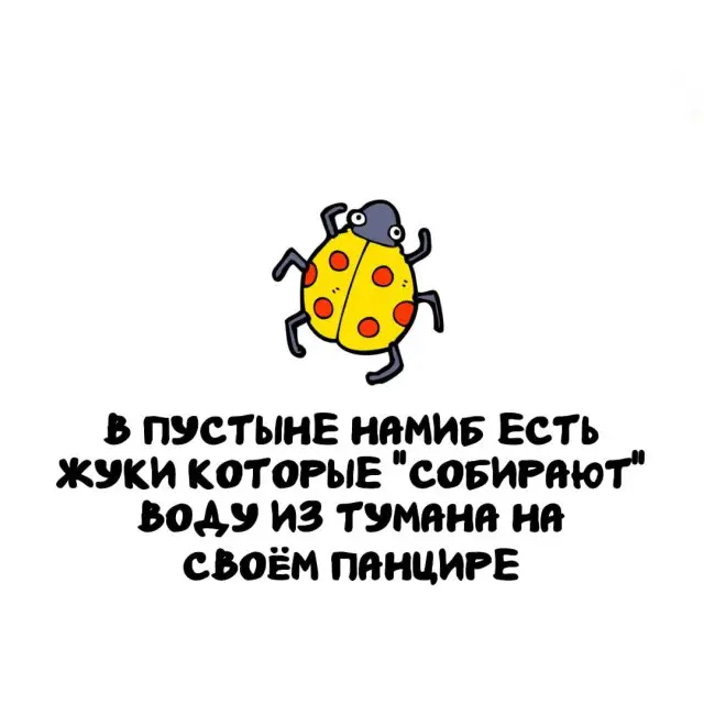 Интересные факты на все случаи жизни 04.05.2026