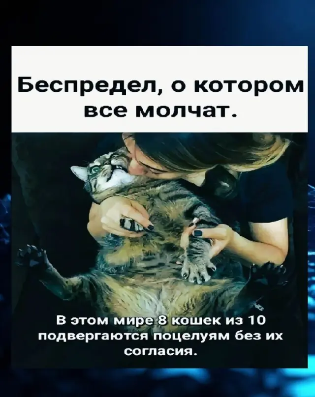 Юмор с просторов соцсетей 12.05.2026