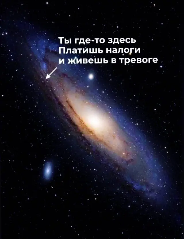 Лучшие шутки и мемы из Сети - 15.05.2026