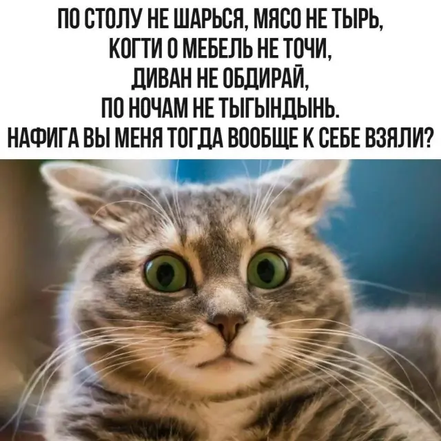 Юмор с просторов соцсетей 18.05.2026