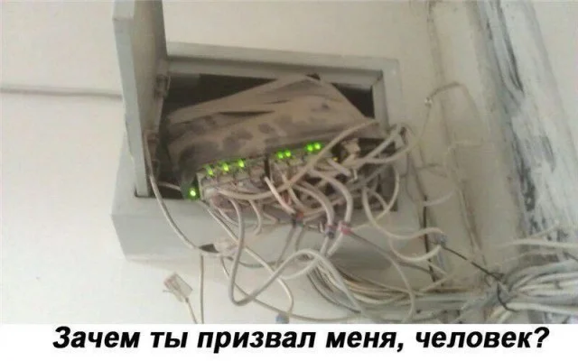 Картинки с юмором 18.05.2026