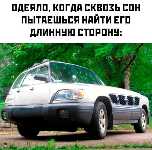 Немного абсурдного юмора 13.05.2026