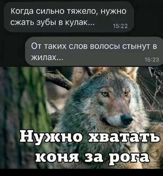 Подборка мемов, баянов и забавных картинок 13.05.2026
