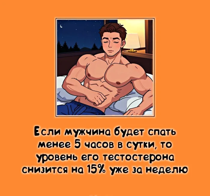 Сексуальная правда: 15 фактов, которым не научат в школе 11.05.2026