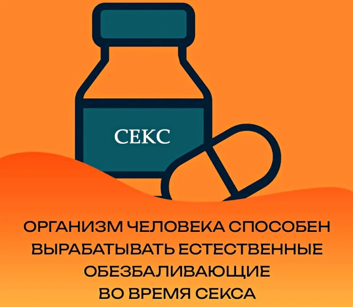 Сексуальная правда: 15 фактов, которым не научат в школе 24.05.2026