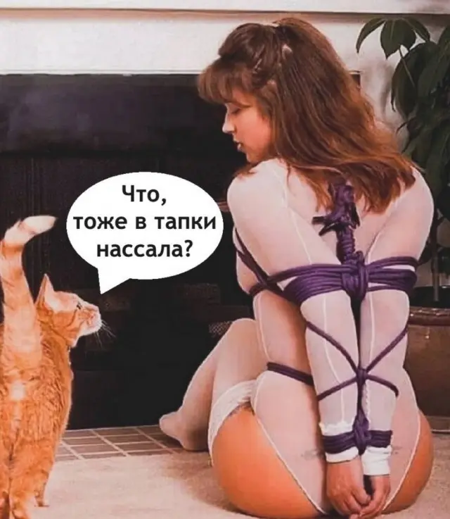 Веселые картинки 01.06.2026