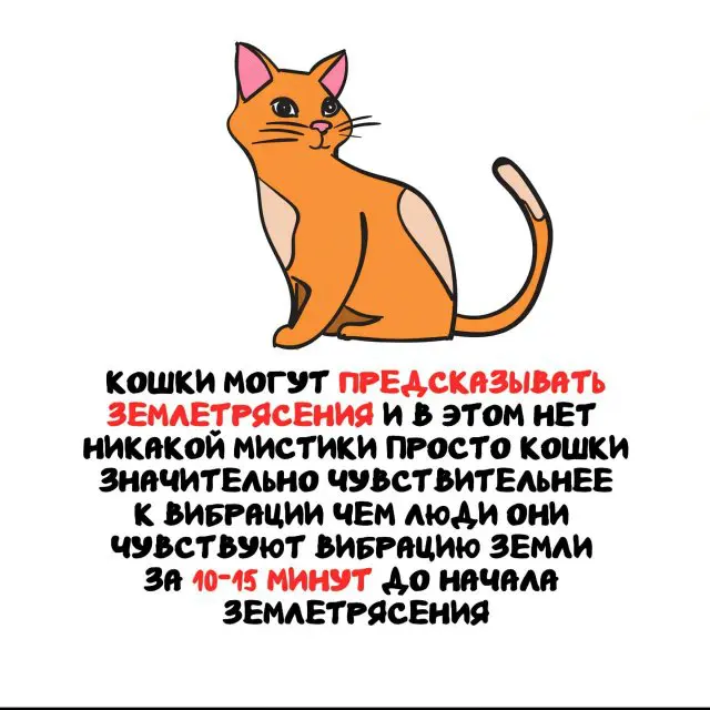 Интересные факты на все случаи жизни 15.06.2026