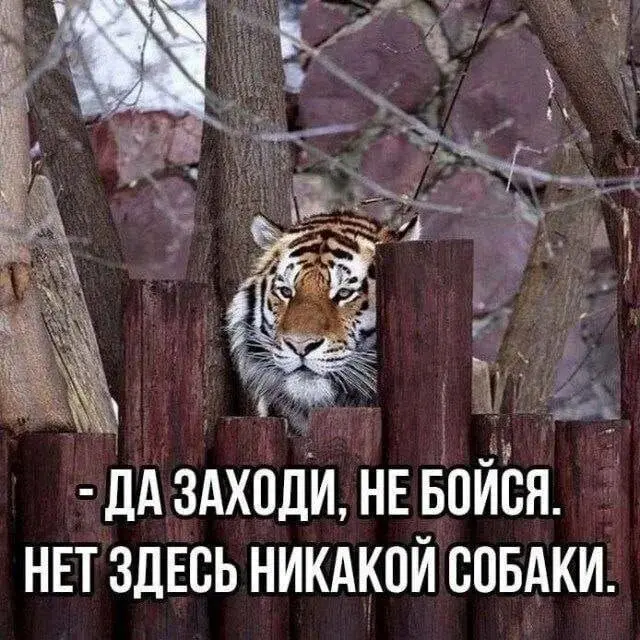 Подборка юмора с просторов соцсетей 23.06.2026