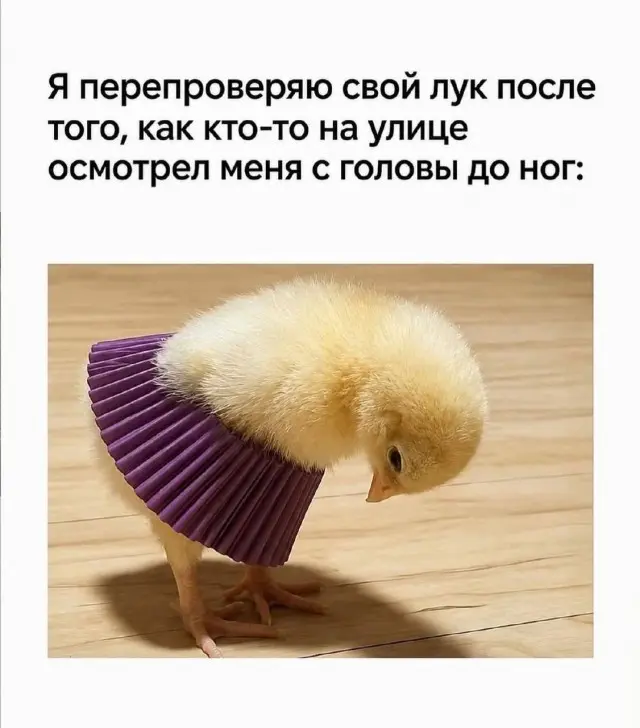 Картинки, которые рассмешат 15.06.2026
