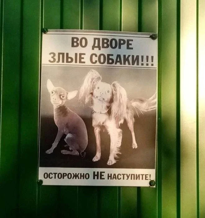 Немного юмора не повредит 12.06.2026