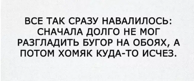 Подборка картинок и мемов 19.06.2026