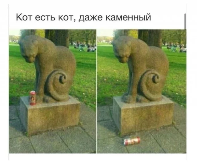 Подборка странных и смешных картинок 01.06.2026