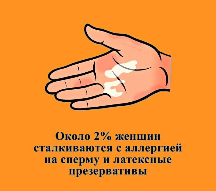 Сексуальная правда: 15 фактов, которым не научат в школе 06.06.2026