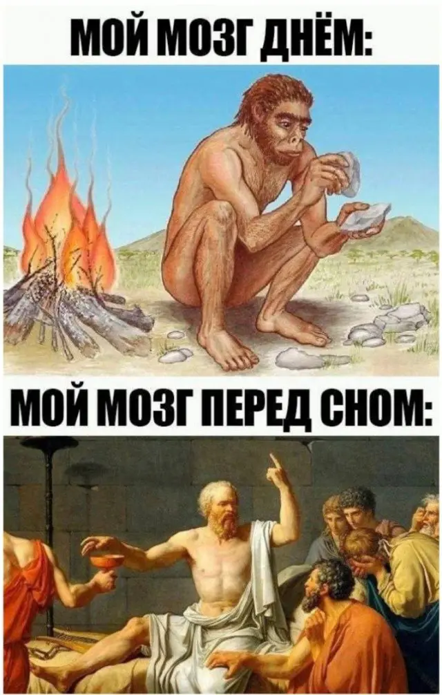 Лучшие шутки и мемы из Сети - 01.07.2026