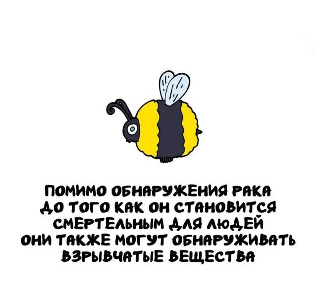 Интересные факты на все случаи жизни 02.07.2026