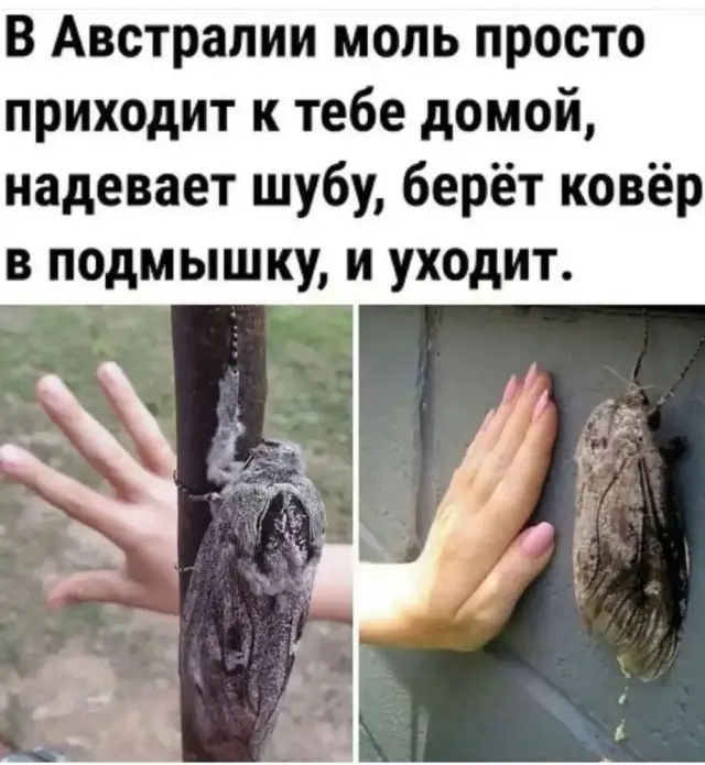 Немного юмора с просторов Сети 12.07.2026