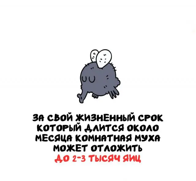 Интересные факты на все случаи жизни 31.07.2026