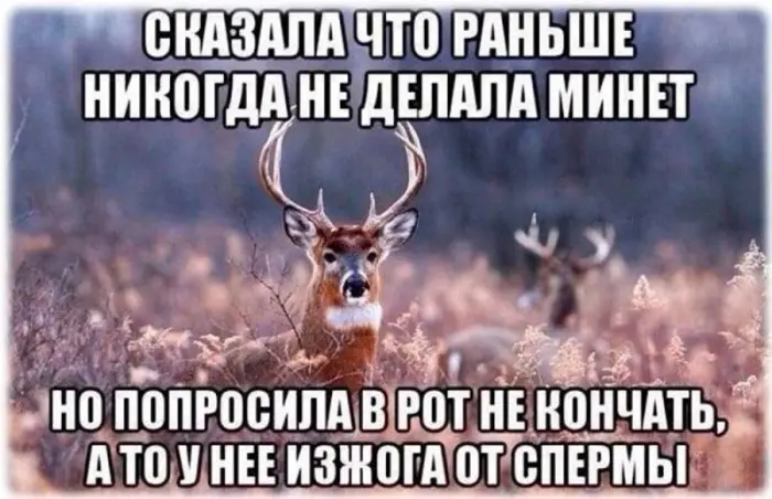 Картинки на посмеяться 27.07.2026