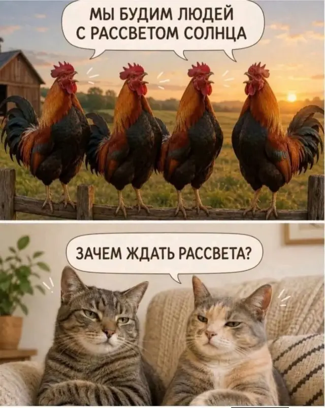 Лучшие мемы, которые стоит лайкнуть 14.07.2026