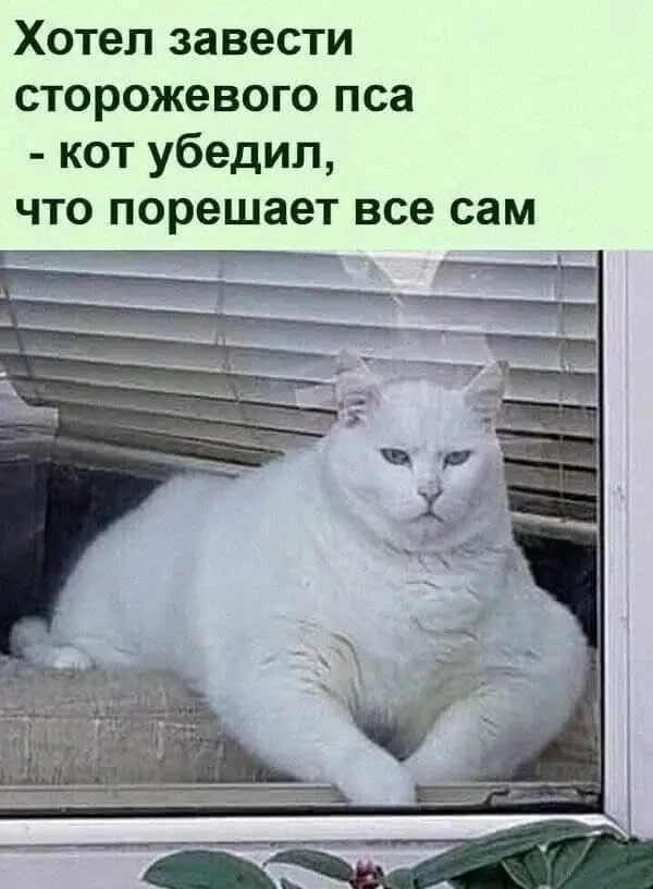 Порция хорошего настроения 27.07.2026