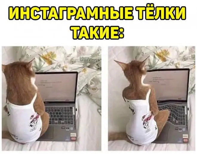 Порция юмора, мемов и странных картинок 20.07.2026