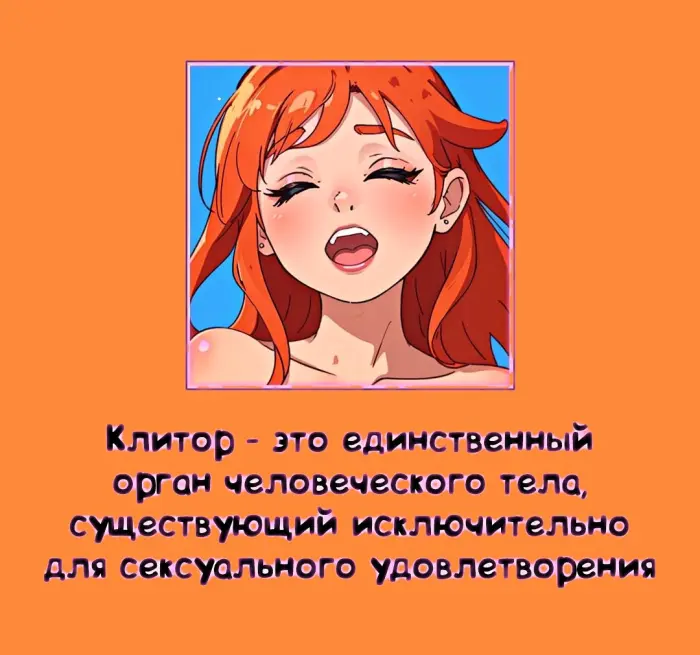 Сексуальная правда: 15 фактов, которым не научат в школе 14.07.2026