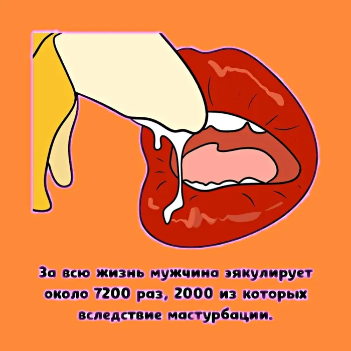 Сексуальная правда: 15 фактов, которым не научат в школе 20.07.2026