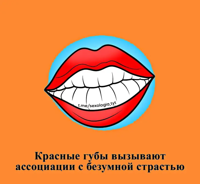 Сексуальная правда: 15 фактов, которым не научат в школе 27.07.2026