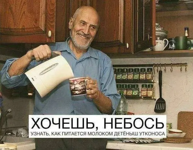 Смешные мемы - 04.08.2026