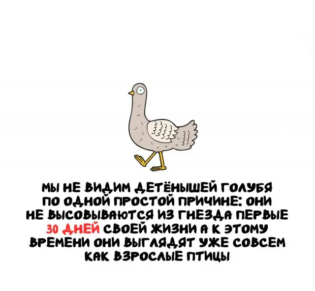 Интересные факты на все случаи жизни 06.08.2026