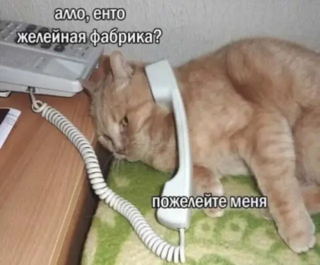 Немного юмора с просторов соцсетей 10.08.2026