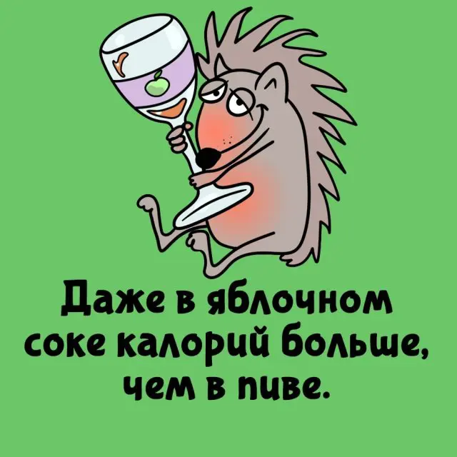Интересные факты на всем случаи жизни 10.08.2026