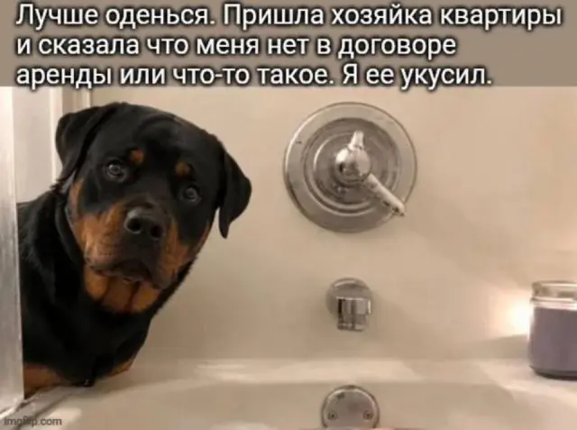 Лучшие шутки и мемы из Сети - 12.08.2026