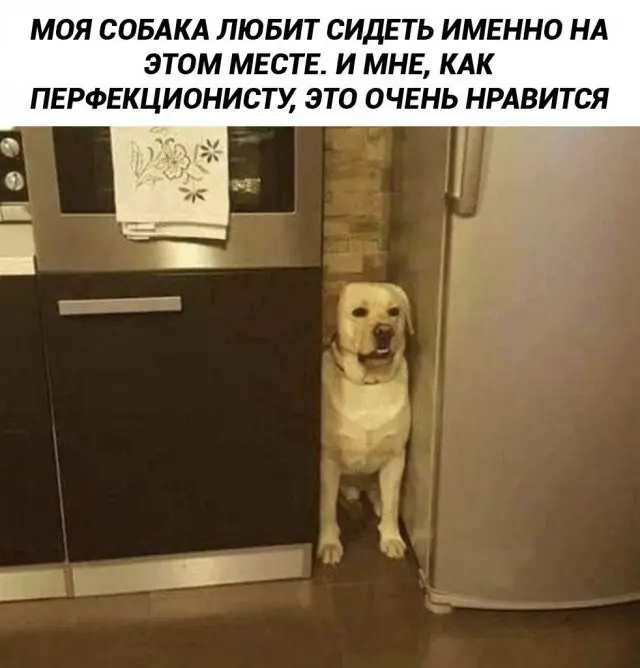 Немного юмора с просторов соцсетей 19.08.2026