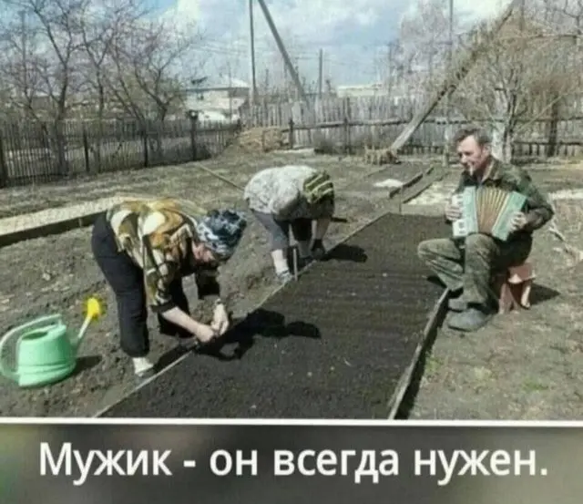 Немного юмора с просторов соцсетей 24.08.2026