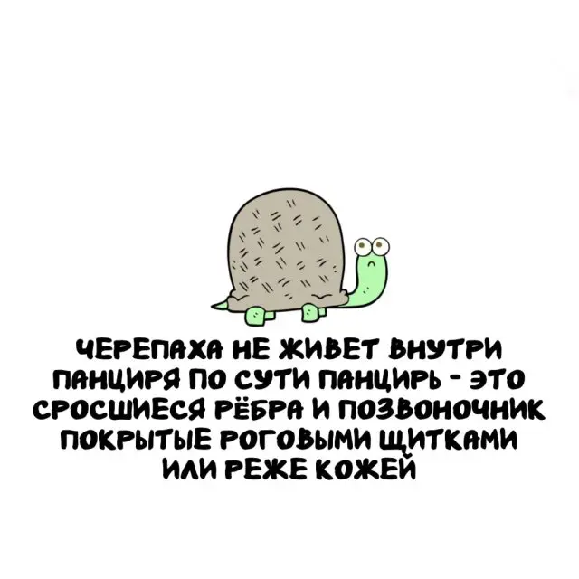 Интересные факты на все случаи жизни 27.08.2026