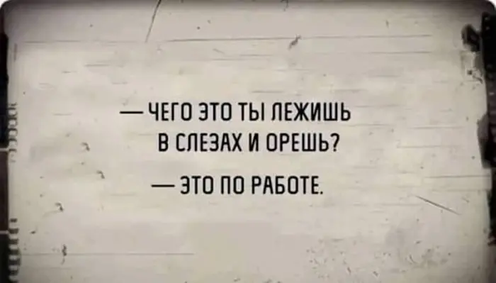 Очередная порция хорошего настроения и улыбок 12.08.2026