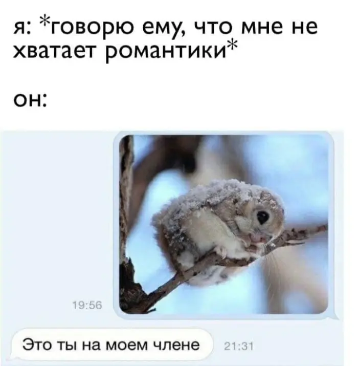 Пошлые мемы и чёрный юмор 06.08.2026