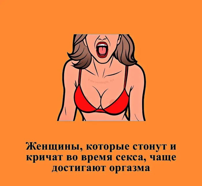 Сексуальная правда: 15 фактов, которым не научат в школе 05.08.2026