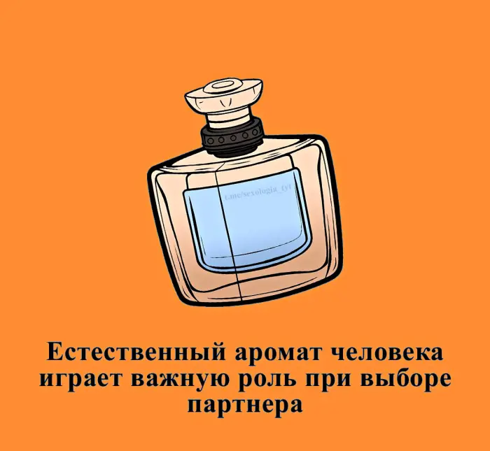 Сексуальная правда: 15 фактов, которым не научат в школе 05.08.2026