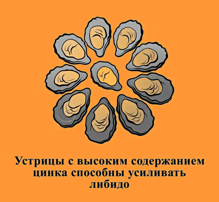 Сексуальная правда: 15 фактов, которым не научат в школе 10.08.2026