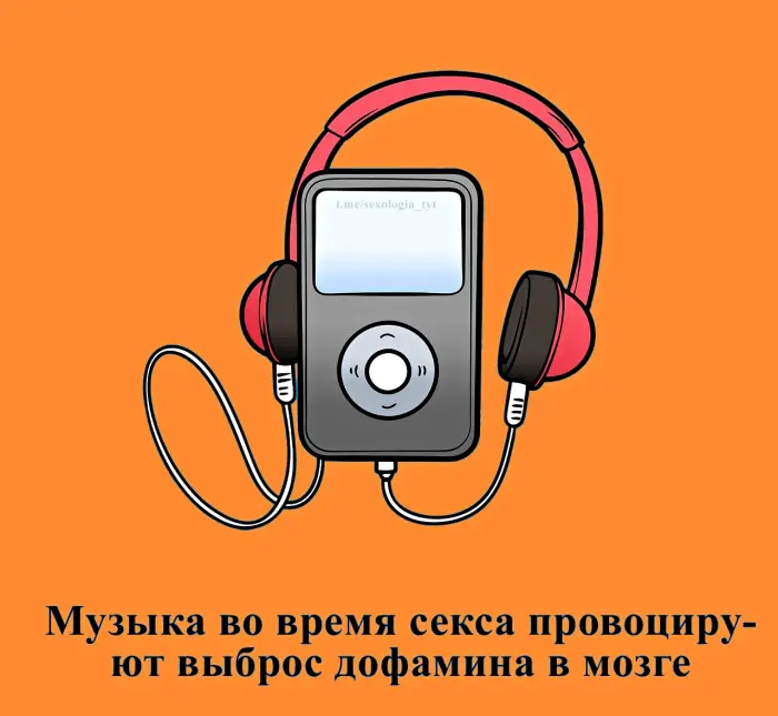 Сексуальная правда: 15 фактов, которым не научат в школе 12.08.2026
