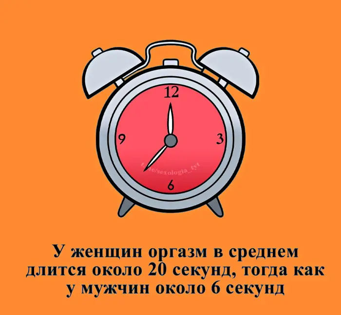 Сексуальная правда: 15 фактов, которым не научат в школе 17.08.2026