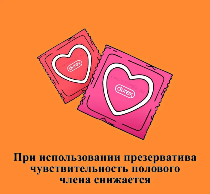 Сексуальная правда: 15 фактов, которым не научат в школе 21.08.2026