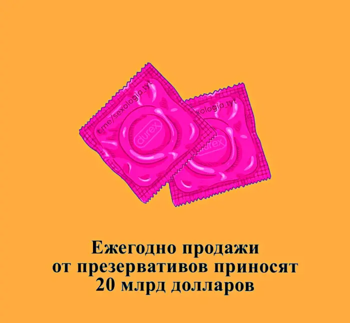 Сексуальная правда: 15 фактов, которым не научат в школе 24.08.2026