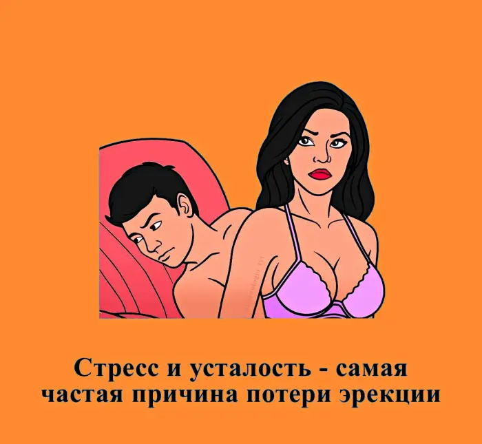 Сексуальная правда: 15 фактов, которым не научат в школе 28.08.2026