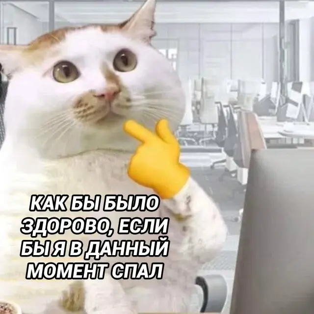 Свежая порция юмора из социальных сетей 14.08.2026